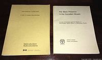 Two government studies laid side by side on a surface. One beige titled 'Non-Official Languages: A Study in Canadian Multiculturalism' and another white titled 'The Black Presence in the Canadian Mosaic'.
