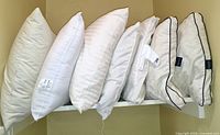 Seven pillows arranged side by side on shelf showing variance in shapes and fabric details