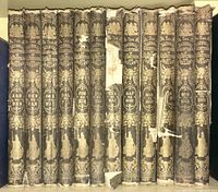 Spines of Volume I to Volume XIII, showing gilt-stamped spines and wear.