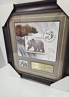Framed Canadian $8 Grizzly Bear stamp from 1997, professionally framed with protective corner covers, showing the large stamp and smaller image below with retirement plaque.