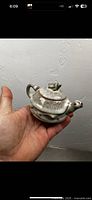 Tea kettle held in hand showing overall shape, spout, lid, and handle.