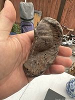 Photo of the fossilized whale ear bone held in hand showing the front texture and holes.