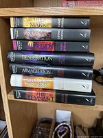 Spine view of all seven books showing titles, authors (LaHaye Jenkins) and mix of hardcover and softcover bindings.