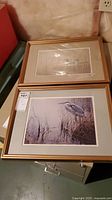 Two framed bird prints stacked, one featuring loons in water with grasses, the other a sketch print of loons or water birds.
