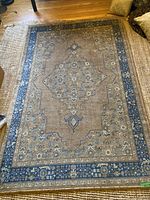 Full exact view of the rectangular area rug showing the central medallion design and surrounding border.