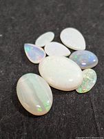 Eight polished loose genuine opal stones laid out on a dark surface, showing clarity, varying sizes, and colorful opalescence.