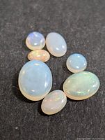 Seven polished genuine opal cabochons displayed on black background showing their size, shape, and color variations.