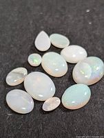 Close-up images of ten polished genuine opal gemstones on a black background showing their iridescent color play and cabochon cuts.