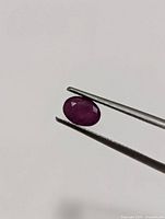 Clear close-up photo of a single oval cut ruby gemstone held by tweezers against a plain white background.