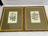 Both botanical prints framed next to each other on a white surface. Frames are beige and prints are vertically oriented with botanical illustrations of flowers.