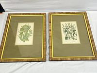 Pair of framed vintage botanical illustration prints laid side by side showing frames and mats.