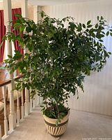 Wide view of the tall faux plant with green leaves in the pot, showing overall height and fullness.