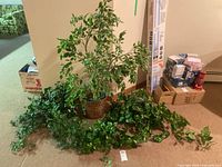 Wide angle showing the full assortment of faux plants, including the large artificial tree and ivy vines spread on the floor.