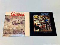 Two vinyl album covers by Gowan, Strange Animals on the left and Great Dirty World on the right, showing front covers and part of the white and black sleeve edges.
