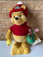 Front view of Winnie the Pooh figure with star and Hunny bag