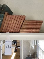 Full shelf view including both book sets and adjacent large green Freud volumes