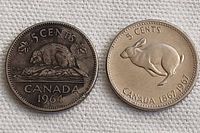 Obverse and reverse images showing the 1964 Canadian 5 cents coin with beaver and Queen Elizabeth II portrait.