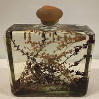 Clear rectangular glass bottle with frosted stopper containing dried botanical stems and flowers inside, viewed from front.