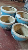 Four blue ceramic pots with white rims and bird motif, some dirt inside. Pots grouped on floor.
