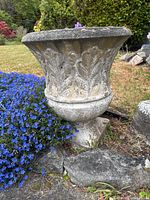 Side view of the large concrete planter showing detailed leaf design and weathered surface with moss and discoloration.