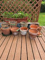 Photo showing various terracotta pots arranged on a wooden deck with a rectangular planter containing strawberry plants in the background.