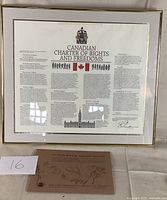 Framed Canadian Charter of Rights and Freedoms document with visible text, Canadian flag and coat of arms, displayed on table with brown envelope in front.