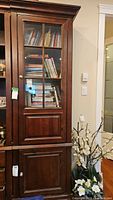 Full front view of the tall wooden cabinet showing glass upper door with books inside, and solid wood lower door.