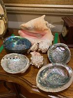 Collection of six seashells on wooden surface including a large pink conch, abalone shells with iridescent interiors, and smaller spiked shells.