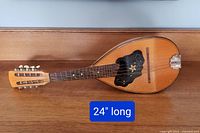 Full length photo of the mandolin showing its teardrop shape and 24-inch scale length.