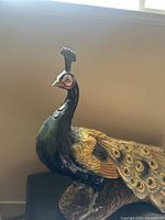 Front view of large peacock statue showing head, neck, and upper body