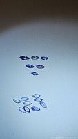 Photo showing 13 marquis cut natural tanzanite stones in purple-blue color, approximately 4x2mm each.