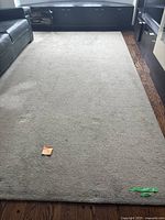 Full view of the beige carpet laid flat on wooden floor, showing overall condition with a green tape marker on one corner.