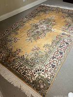Full flat view of rectangular rug showing overall pattern and fringe at both ends