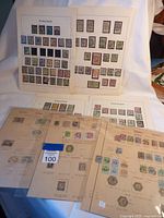 Overview of multiple album pages with Belgium stamps from the 1800s organized in rows and columns with annotations.