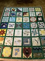 Full view of the quilt showing various themed squares framed in green borders.