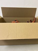 Cardboard box partially open showing the top side of an orange and green striped dinosaur toy head and tail poking out