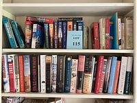 Two shelves of assorted books spanning thriller, mystery, historical fiction, and general fiction genres.