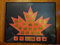 Front view of framed display featuring 25 commemorative coins arranged in a maple leaf design.