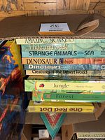 Photo of stack of pop-up books showing titles including Amazing Monkeys, Hide and Seek, Strange Animals of the Sea, Dinosaur Babies, Dinosaurs, Creatures of the Desert World, Jungle, Forest, One Red Dot.