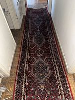Full view of the vintage IKEA oriental style long narrow rug in a hallway position with visible pattern and colors.