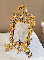 Front view of gilt metal frame with backing in place
