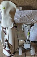 Bag with hood and folded pull cart