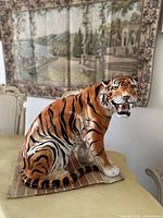 Front three-quarter view showing full figure of tiger with open mouth in room setting