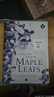 Cover of the hardcover book 'A Day in the Life of the Maple Leafs' showing title and images of players.