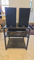 Sony stereo receiver, Paradigm speakers on audio stand with glass shelves