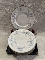 Set of ten plates stacked and two plates displayed showing floral pattern and silver trim