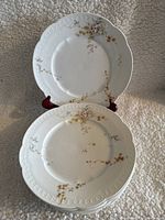 Seven Rosenthal Bavaria Carmen dinner plates stacked with two displayed showing hand-painted floral patterns and embossed edges