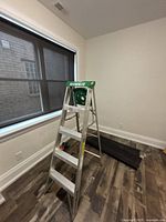 Full view of aluminum step ladder with Featherlite label on top standing on wood floor near window.