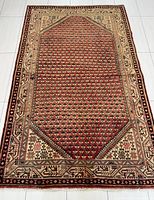 Full view of the rectangular handwoven Arak Persian rug laid flat on a tiled floor showing the orange geometric floral field and beige patterned border.