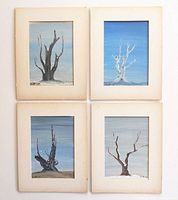 Four unframed matted paintings depicting mid century style bare tree trunks set against blue skies. Each with signature 'Scott 59' visible on some.